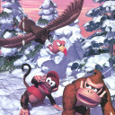 Donkey Kong Country