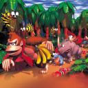 DKC jungle box art scene – edited